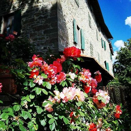 Podere I Rovai-Apt Il Rifugio- In The Heart Of Tuscany Reggello Exterior photo