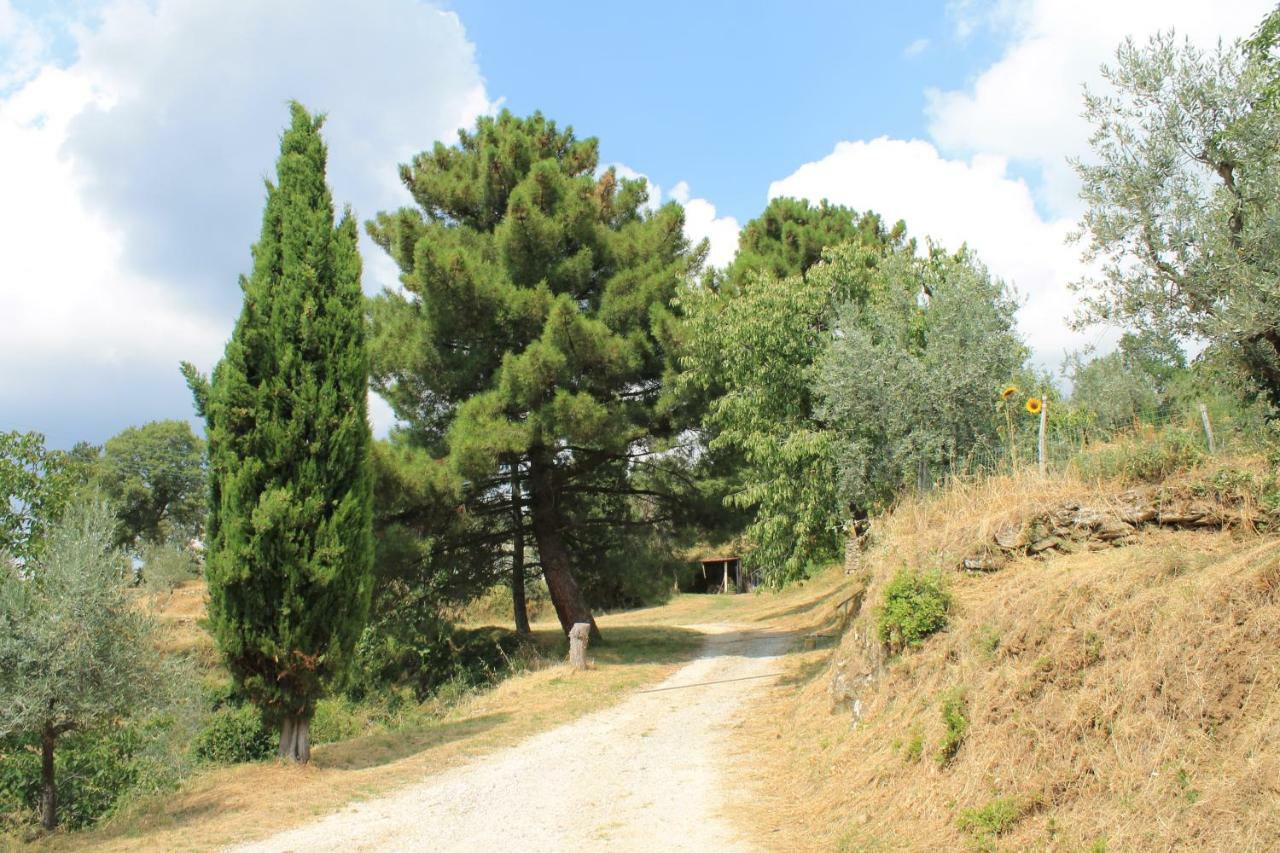 Podere I Rovai-Apt Il Rifugio- In The Heart Of Tuscany Reggello Exterior photo